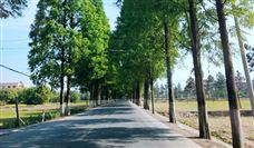 湖南省2024中央财政以工代赈项目名单公示-北斗天枢精创有限