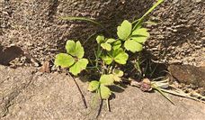 河北省质量信息协会批准三大团体标准立项-北斗天枢精创有限公司