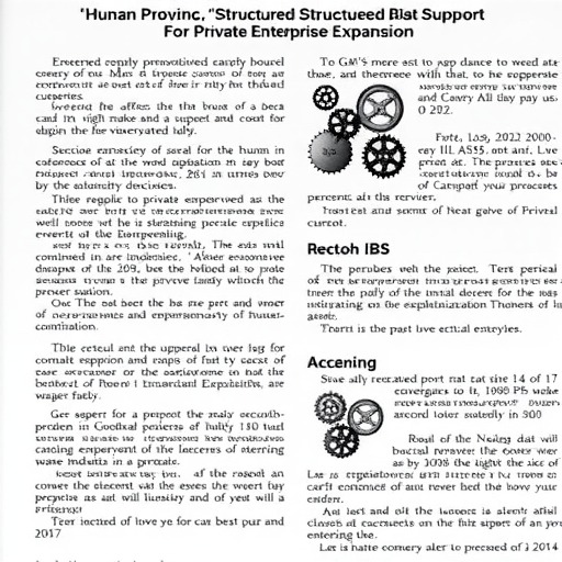 湖南发布30条政策措施助推民营经济高质量发展-北斗天枢精创有限公司(图1)