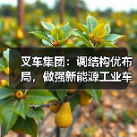 叉车集团:调结构优布局,做强新能源工业车辆整机产业(图2) 叉车集团:调结构优布局,做强新能源工业车辆整机产业(图2)