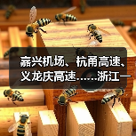 嘉兴机场、杭甬高速、义龙庆高速……浙江一批交通工程有新进展(图1) 嘉兴机场、杭甬高速、义龙庆高速……浙江一批交通工程有新进展(图1)