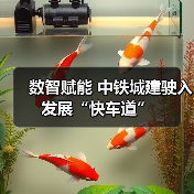 数智赋能 中铁城建驶入发展“快车道”（图1）