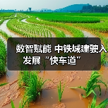 数智赋能 中铁城建驶入发展“快车道”（图2）