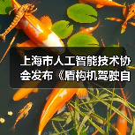 上海市人工智能技术协会发布《盾构机驾驶自动化分级》(图3) 上海市人工智能技术协会发布《盾构机驾驶自动化分级》(图3)