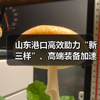 山东港口高效助力“新三样”、高端装备加速出海（图3）