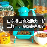 山东港口高效助力“新三样”、高端装备加速出海（图1）