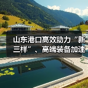 山东港口高效助力“新三样”、高端装备加速出海（图4）