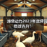 潍柴动力2023年度经营质效齐升!(图4) 潍柴动力2023年度经营质效齐升!(图4)
