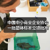 中国中小商业企业协会一批团体标准立项批准(图1) 中国中小商业企业协会一批团体标准立项批准(图1)