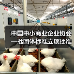 中国中小商业企业协会一批团体标准立项批准(图3) 中国中小商业企业协会一批团体标准立项批准(图3)