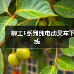 柳工F系列纯电动叉车下线(图2) 柳工F系列纯电动叉车下线(图2)