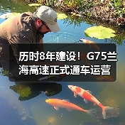 历时8年建设！G75兰海高速正式通车运营（图4）