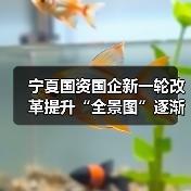 宁夏国资国企新一轮改革提升“全景图”逐渐浮现(图1) 宁夏国资国企新一轮改革提升“全景图”逐渐浮现(图1)