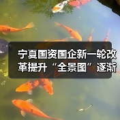 宁夏国资国企新一轮改革提升“全景图”逐渐浮现(图4) 宁夏国资国企新一轮改革提升“全景图”逐渐浮现(图4)