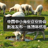 中国中小商业企业协会批准发布一批团体标准！（图4）
