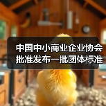 中国中小商业企业协会批准发布一批团体标准！（图3）