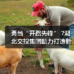勇当“开路先锋” ?湖北交投集团助力打造新时代“九州通衢”(图1) 勇当“开路先锋” ?湖北交投集团助力打造新时代“九州通衢”(图1)