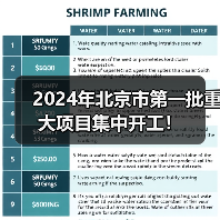 2024年北京市第一批重大项目集中开工!(图2) 2024年北京市第一批重大项目集中开工!(图2)