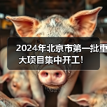 2024年北京市第一批重大项目集中开工!(图1) 2024年北京市第一批重大项目集中开工!(图1)