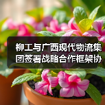柳工与广西现代物流集团签署战略合作框架协议(图1) 柳工与广西现代物流集团签署战略合作框架协议(图1)