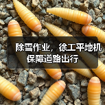 除雪作业,徐工平地机保障道路出行(图1) 除雪作业,徐工平地机保障道路出行(图1)