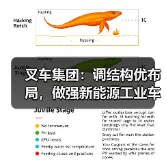 叉车集团:调结构优布局,做强新能源工业车辆整机产业(图4) 叉车集团:调结构优布局,做强新能源工业车辆整机产业(图4)