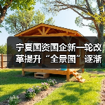 宁夏国资国企新一轮改革提升“全景图”逐渐浮现（图2）