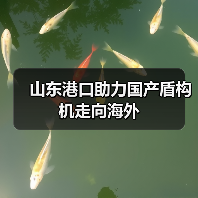 山东港口助力国产盾构机走向海外（图4）