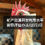 矿产资源开发利用水平调查评估办法(试行)印发（图3）