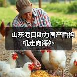 山东港口助力国产盾构机走向海外（图1）