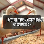 山东港口助力国产盾构机走向海外（图2）