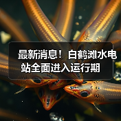 最新消息!白鹤滩水电站全面进入运行期(图3) 最新消息!白鹤滩水电站全面进入运行期(图3)