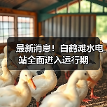 最新消息!白鹤滩水电站全面进入运行期(图1) 最新消息!白鹤滩水电站全面进入运行期(图1)