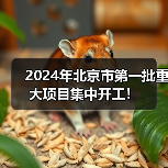 2024年北京市第一批重大项目集中开工！（图3）