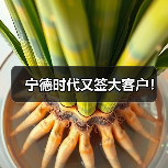 宁德时代又签大客户!(图3) 宁德时代又签大客户!(图3)