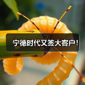 宁德时代又签大客户!(图4) 宁德时代又签大客户!(图4)