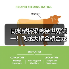 同类型桥梁跨径世界第一！飞龙大桥全桥合龙（图4）
