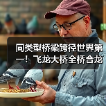 同类型桥梁跨径世界第一！飞龙大桥全桥合龙（图3）
