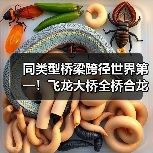 同类型桥梁跨径世界第一！飞龙大桥全桥合龙（图1）