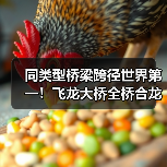 同类型桥梁跨径世界第一！飞龙大桥全桥合龙（图2）