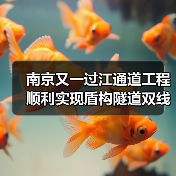 南京又一过江通道工程顺利实现盾构隧道双线贯通(图4) 南京又一过江通道工程顺利实现盾构隧道双线贯通(图4)