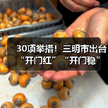 30项举措！三明市出台“开门红”“开门稳”若干措施（图3）