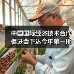 中国国际经济技术合作促进会下达今年第一批团标计划项目(图4) 中国国际经济技术合作促进会下达今年第一批团标计划项目(图4)