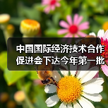 中国国际经济技术合作促进会下达今年第一批团标计划项目(图3) 中国国际经济技术合作促进会下达今年第一批团标计划项目(图3)