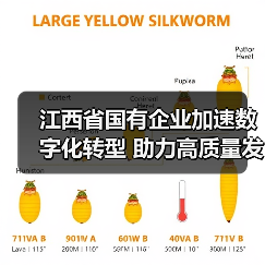 江西省国有企业加速数字化转型 助力高质量发展(图1) 江西省国有企业加速数字化转型 助力高质量发展(图1)