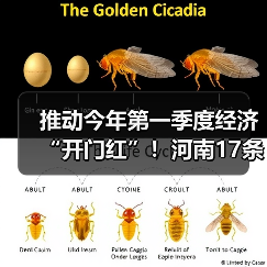 推动今年第一季度经济“开门红”！河南17条举措来了（图4）