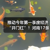 推动今年第一季度经济“开门红”！河南17条举措来了（图3）