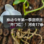 推动今年第一季度经济“开门红”！河南17条举措来了（图2）