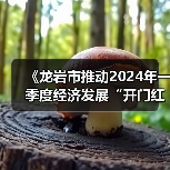 《龙岩市推动2024年一季度经济发展“开门红”“开门稳”的若干措施》解读（图2）