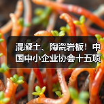 混凝土、陶瓷岩板！中国中小企业协会十五项标准发布施行（图3）